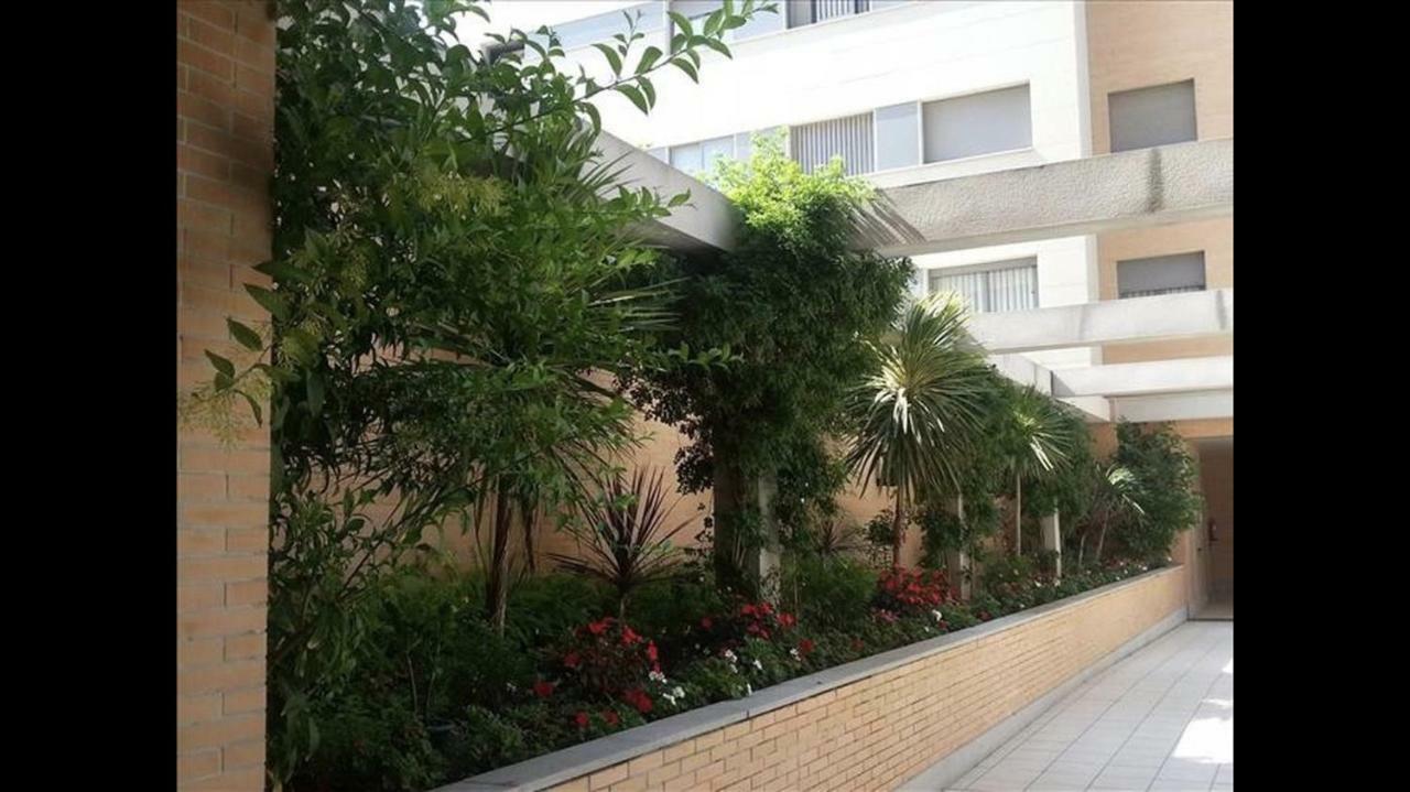 Apartamento Playa Y Piscina 1-2 Personas Málaga Dış mekan fotoğraf